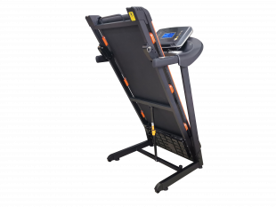 Беговая дорожка электрическая Royal Fitness RF-6